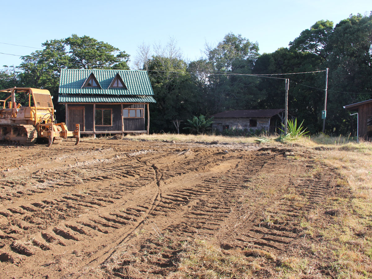 The Story Behind the Dream