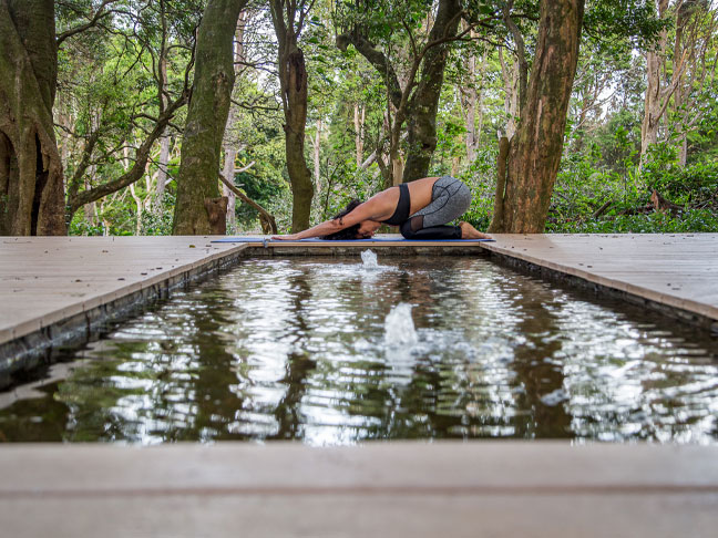 yoga-chayote-lodge-1