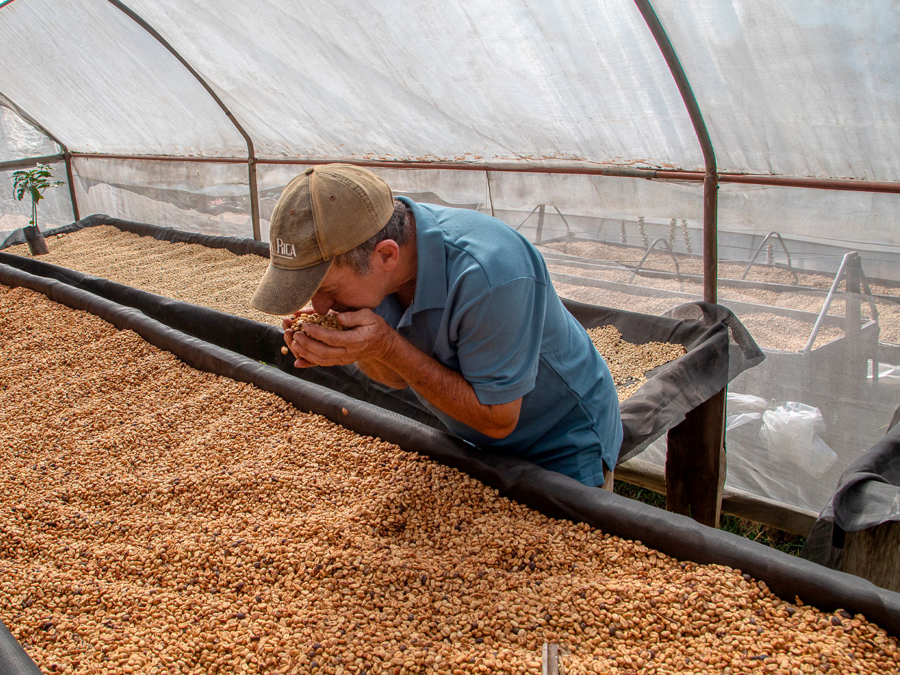 Don Carlos and Doña María: An Authentic Off the Beaten Path Coffee Tour in Costa Rica